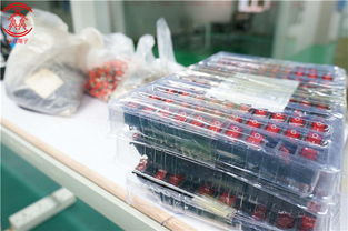 优质pcba包工包料制板厂商,众焱电子,oem代工厂